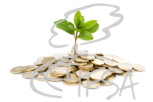 moneyseedling_ifsa